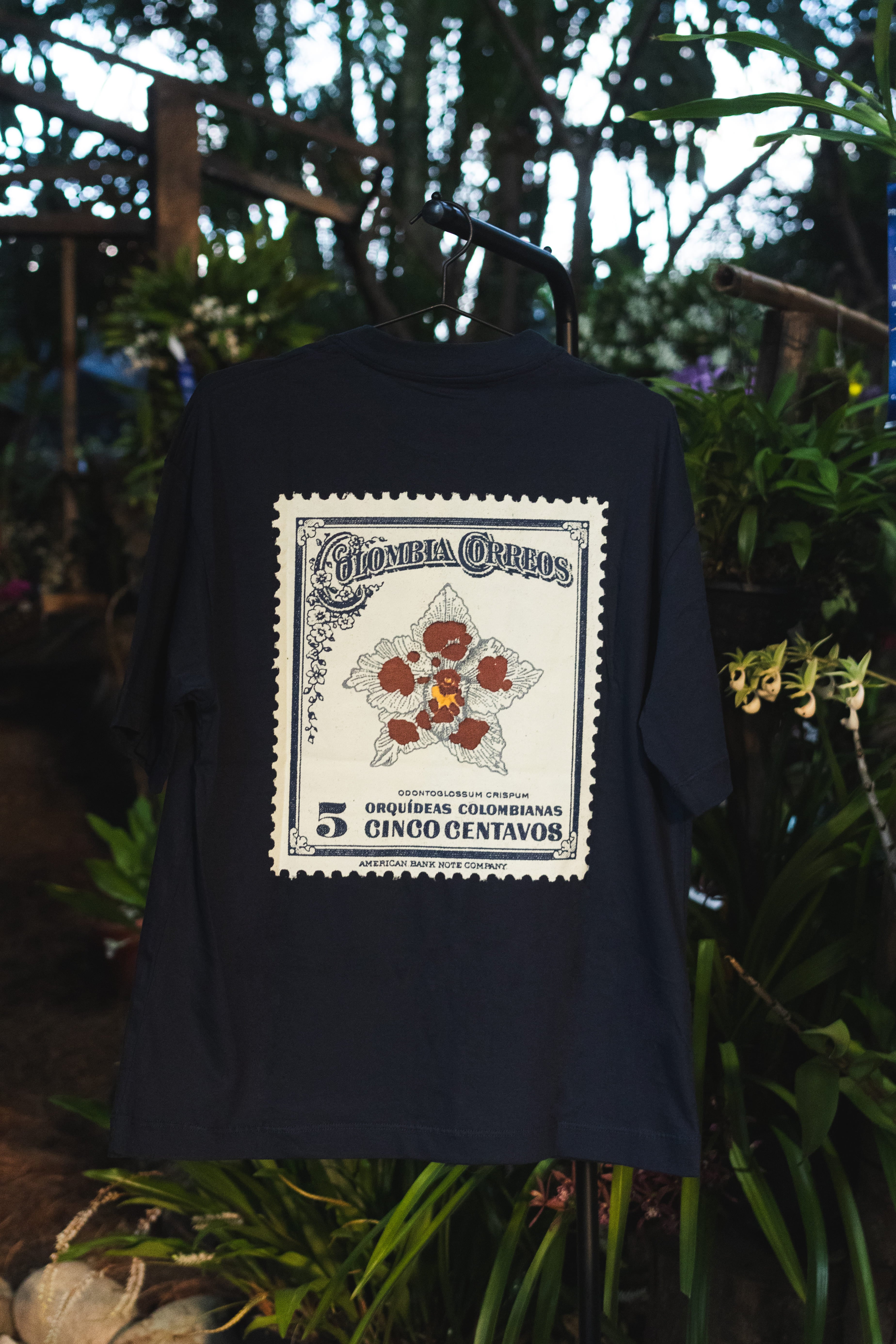 Camiseta Oversized Azul – Odontoglossum crispum