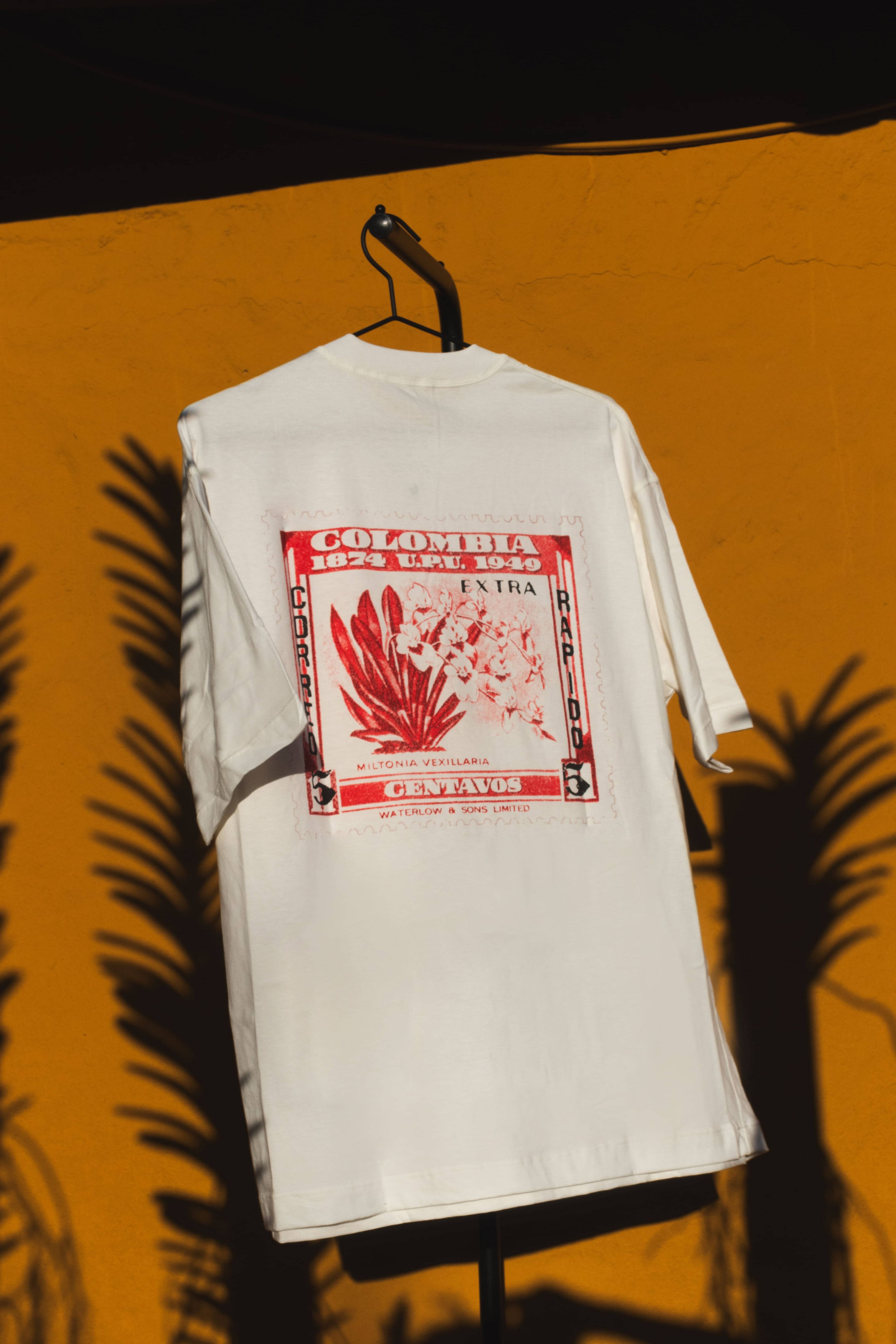 Camiseta Oversized Marfil – Miltonia Vexillaria