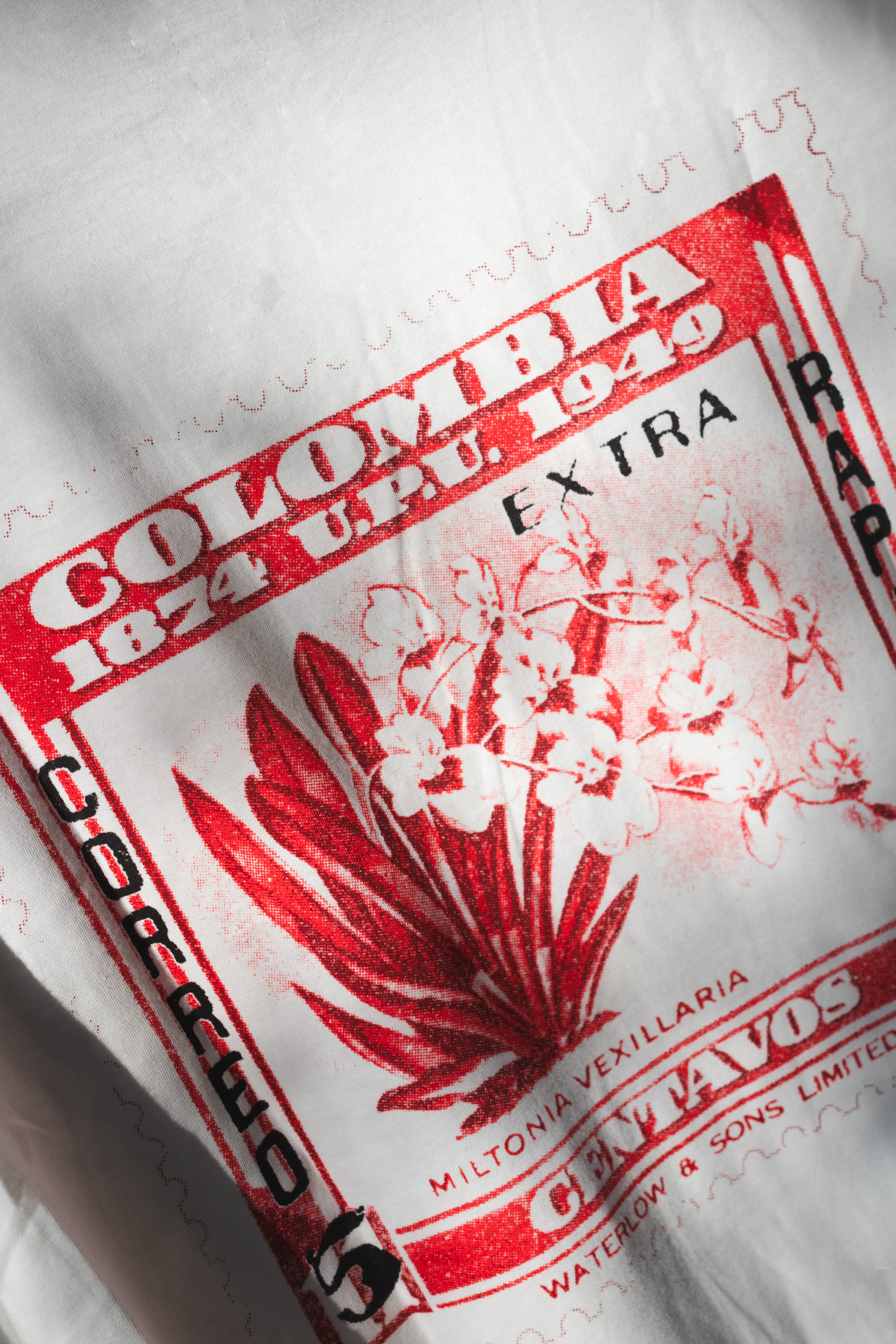 Camiseta Oversized Marfil – Miltonia Vexillaria
