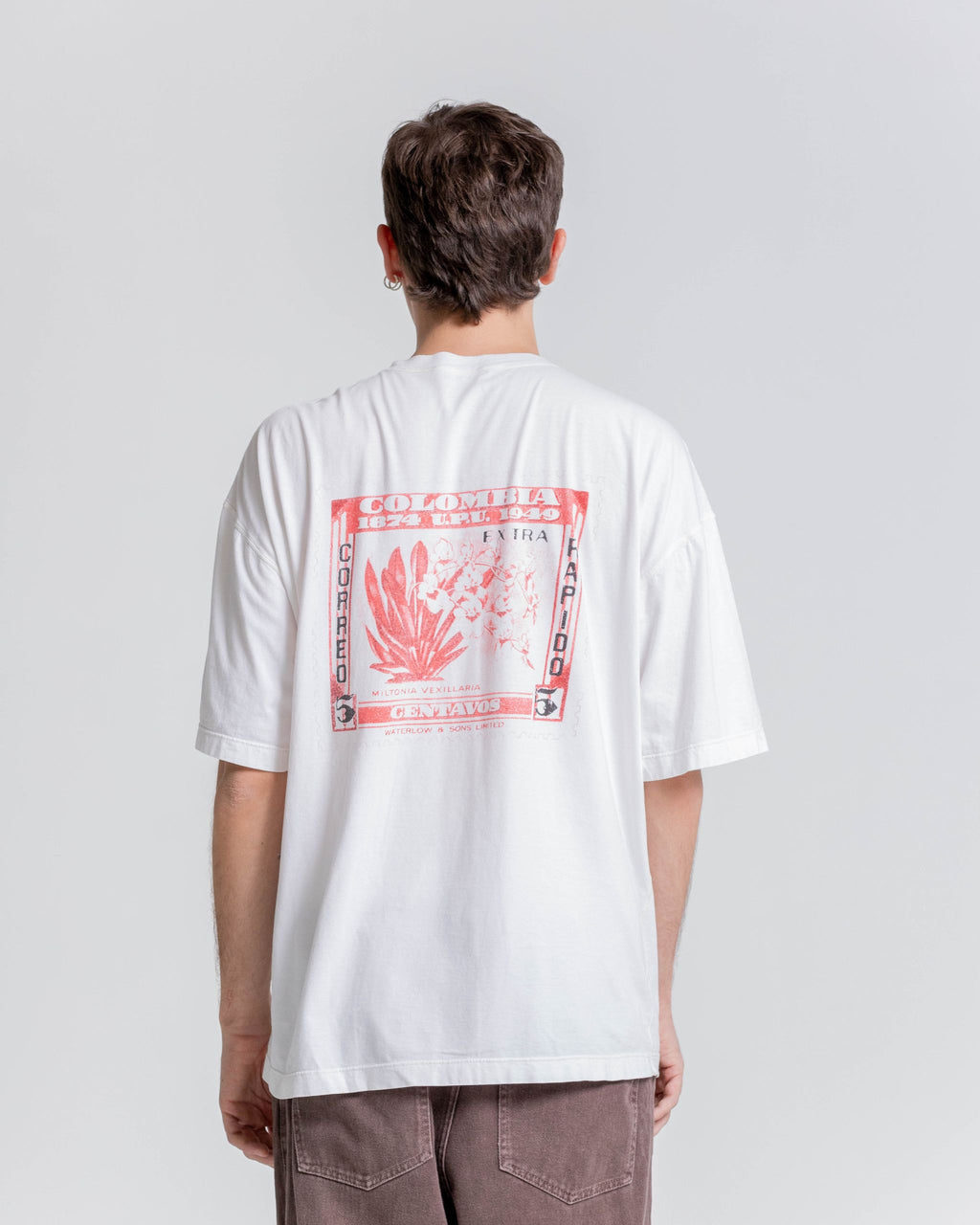 Camiseta Oversized – Miltonia Vexillaria