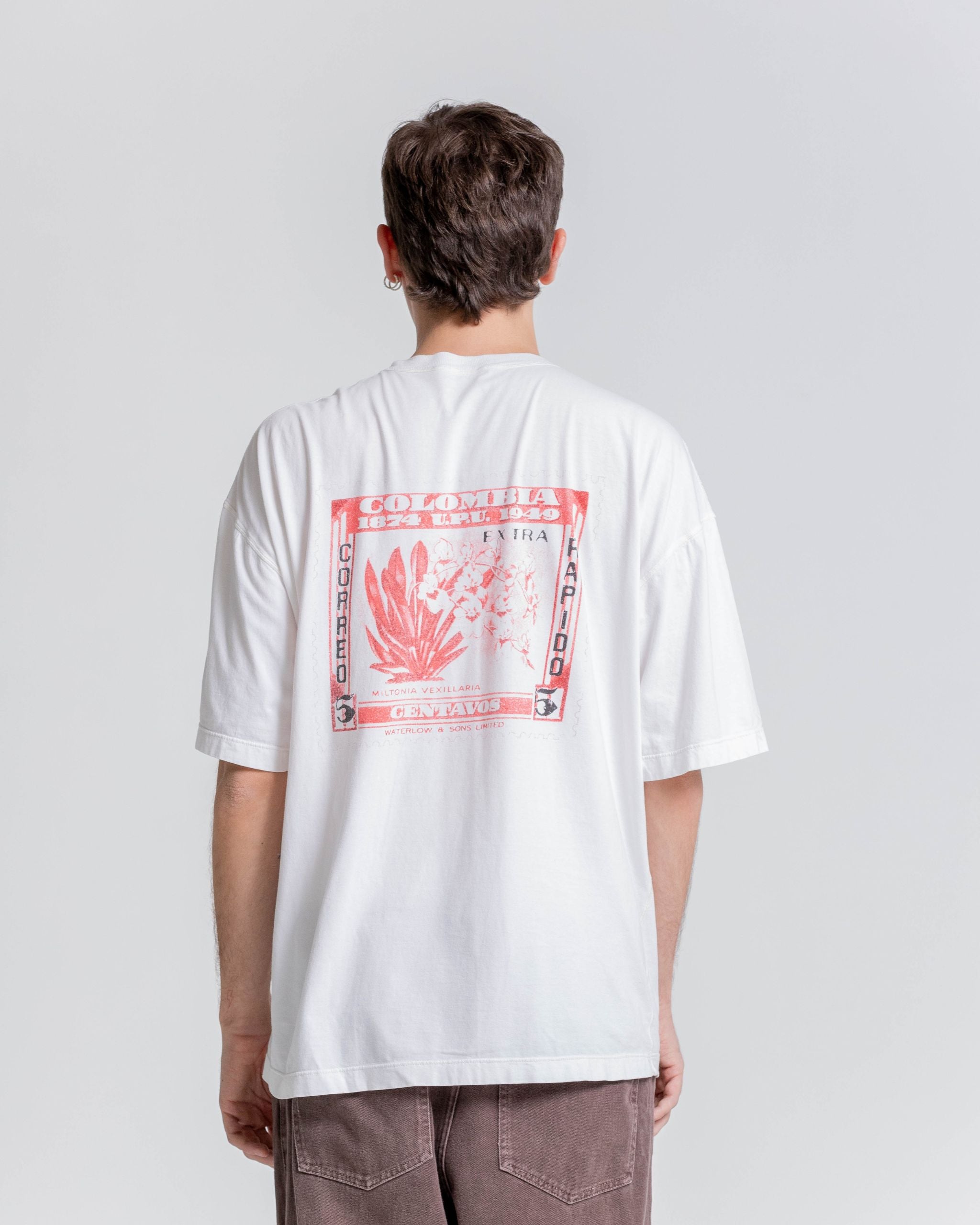 Camiseta Oversized – Miltonia Vexillaria