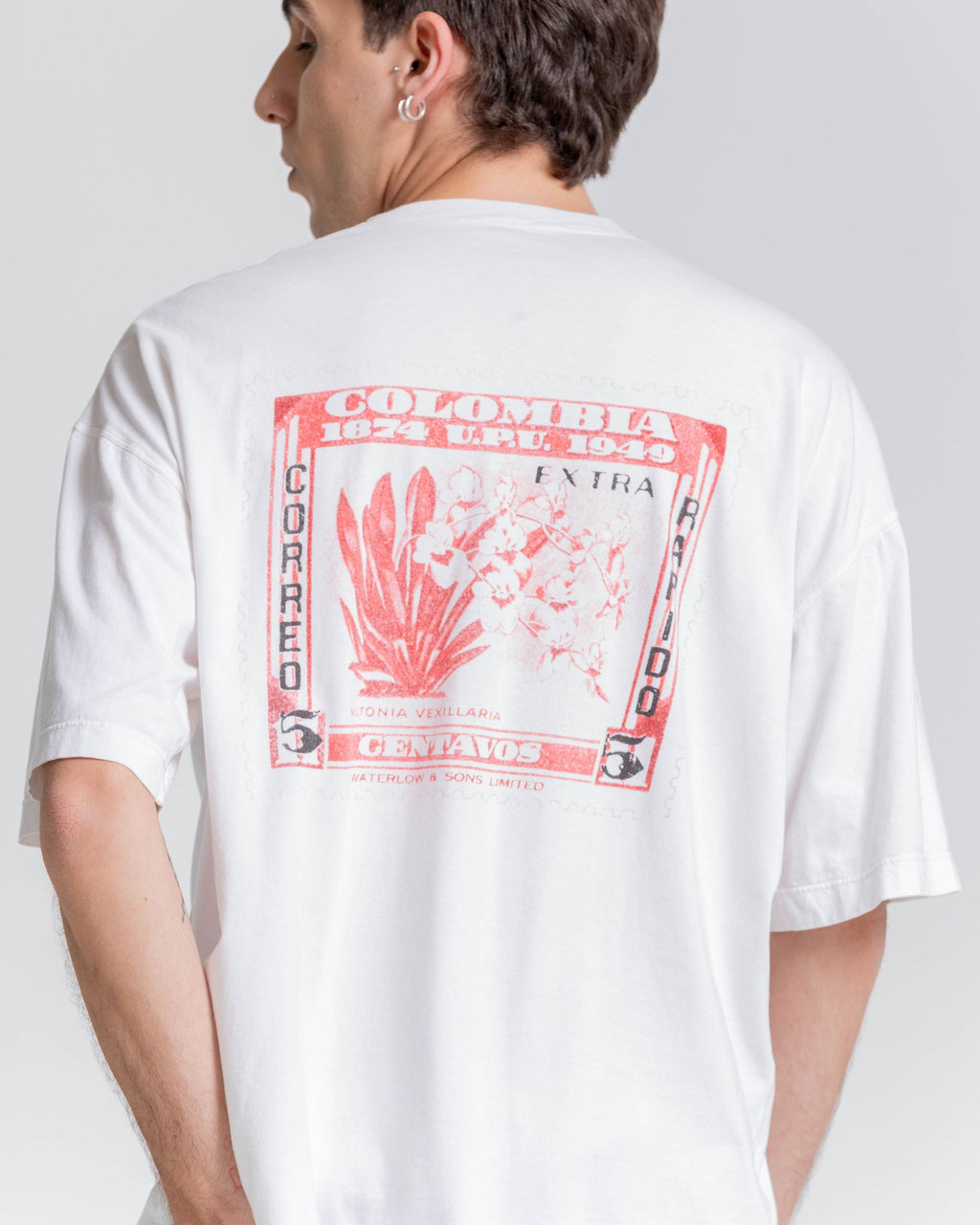 Camiseta Oversized – Miltonia Vexillaria
